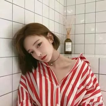 小树的天空